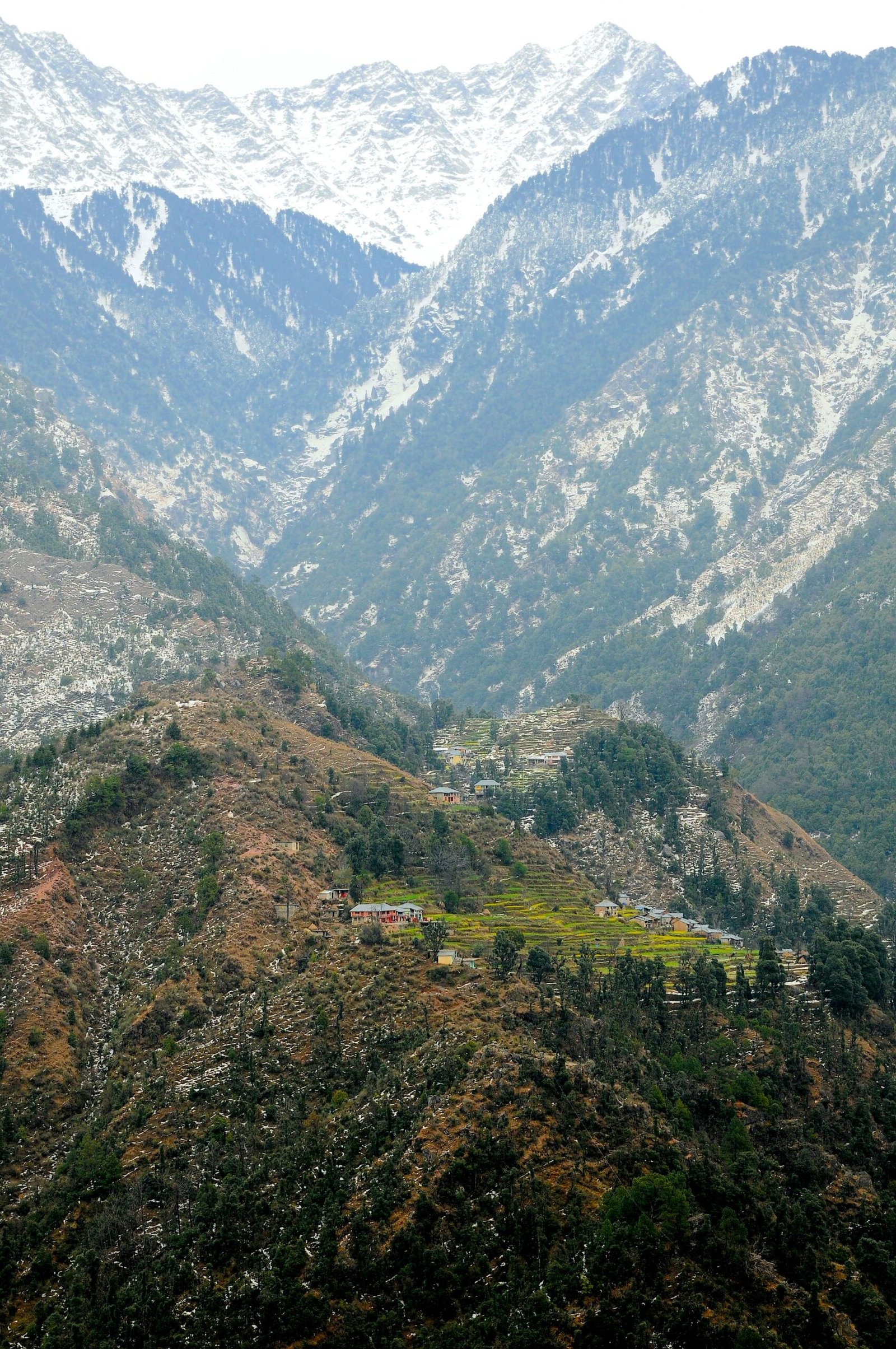 tour packages in raipur