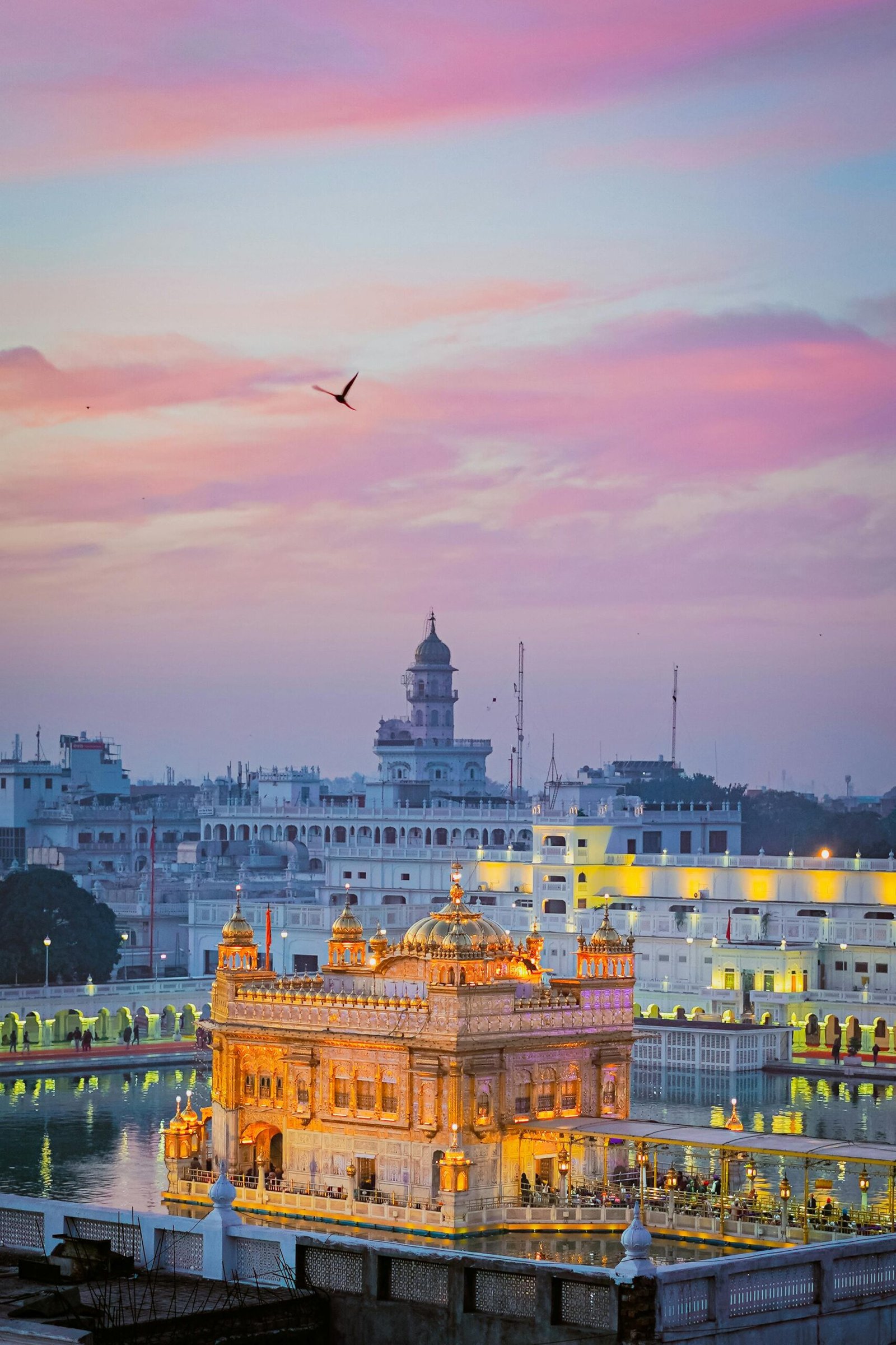 tour packages in raipur